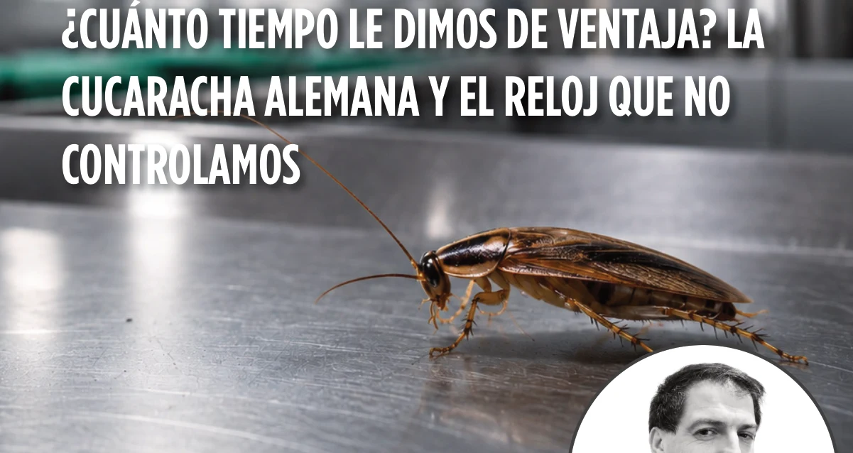 ¿Cuánto tiempo le dimos de ventaja? La cucaracha alemana y el reloj que no controlamos