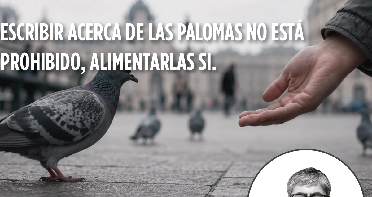 Escribir acerca de las palomas no está prohibido, alimentarlas sí