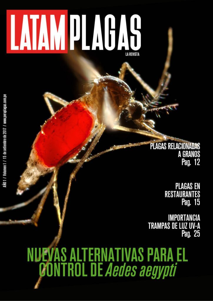 Cover Edition No. 1