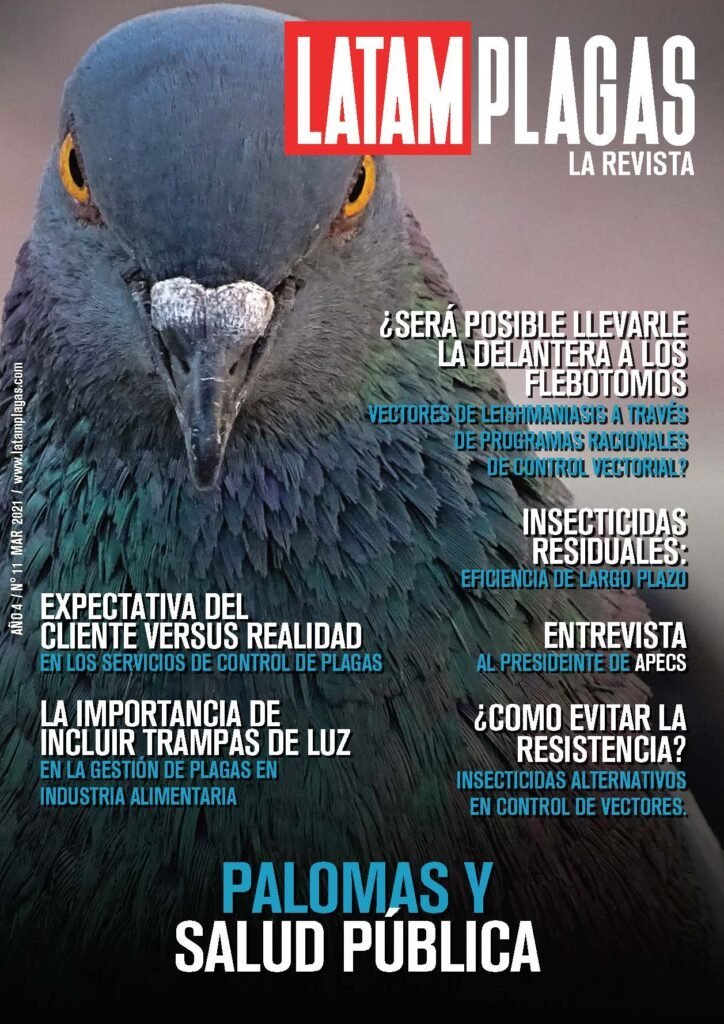Cover Edition No. 11
