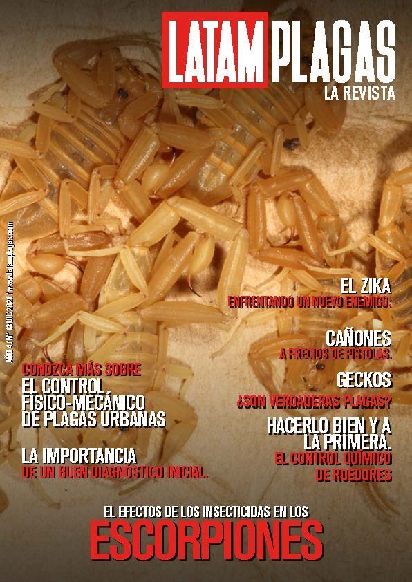 Cover Edition No. 13