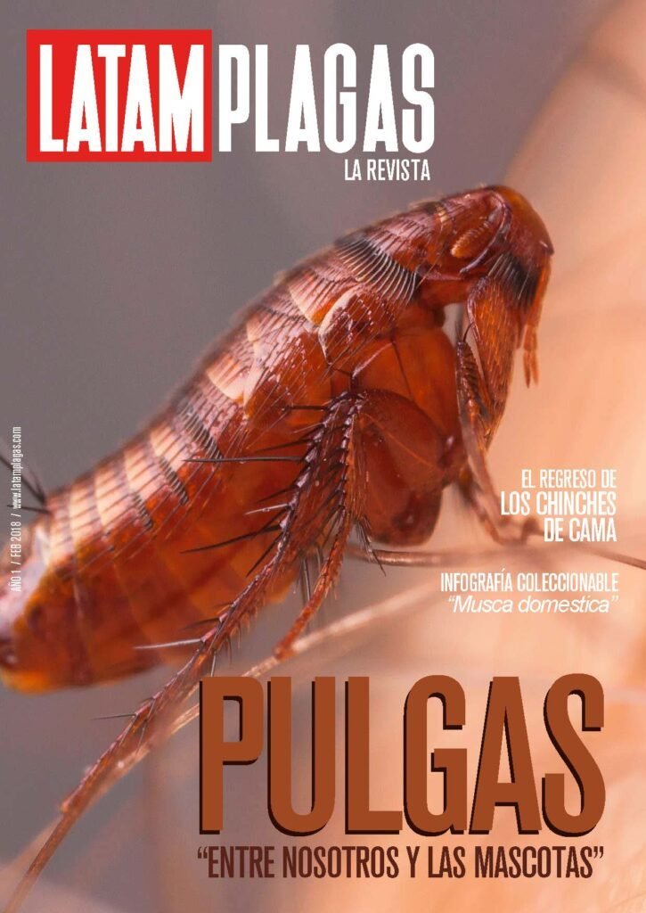 Cover Edition No. 3