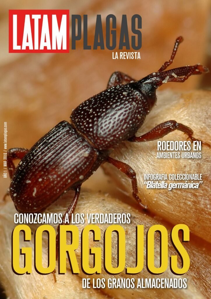 Cover Edition No. 4