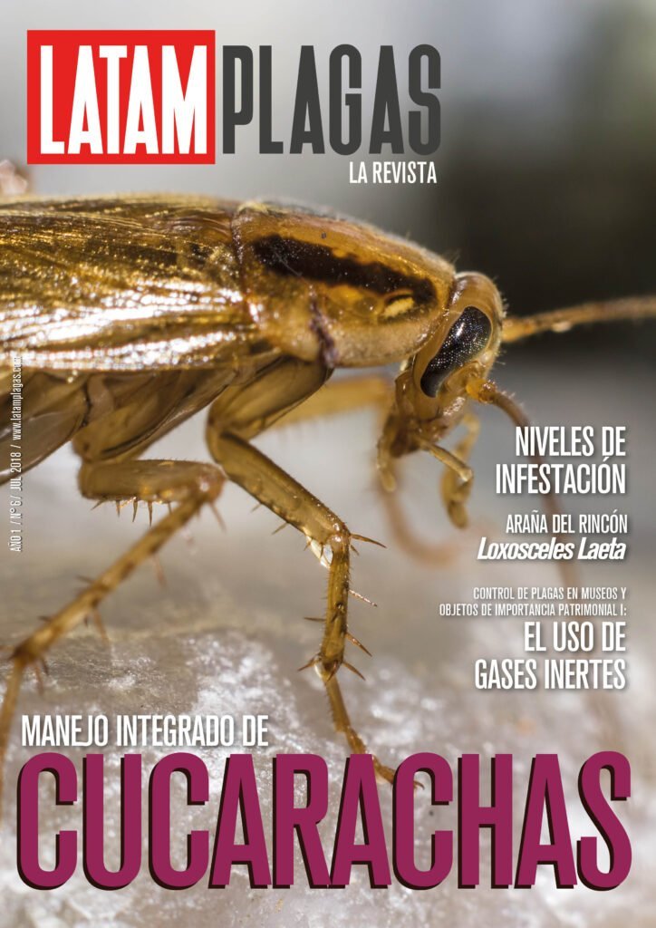 Cover Edition No. 6