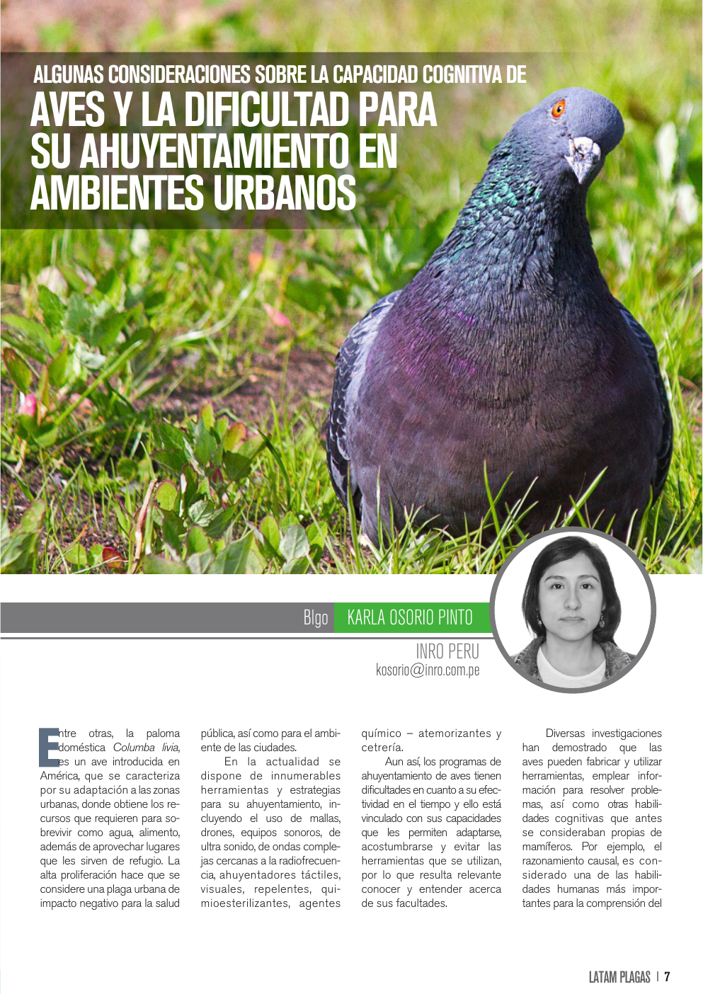Apertura del artículo sobre capacidad cognitiva de aves