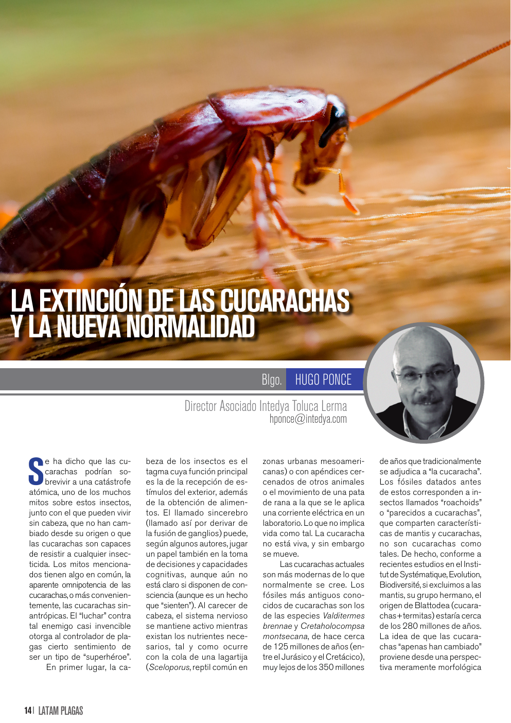 Apertura del artículo sobre cucarachas y nueva normalidad