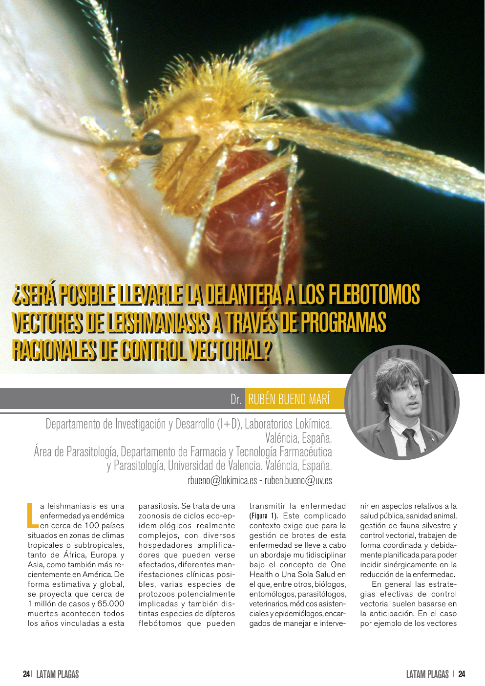 Apertura del artículo sobre flebótomos vectores de leishmaniasis