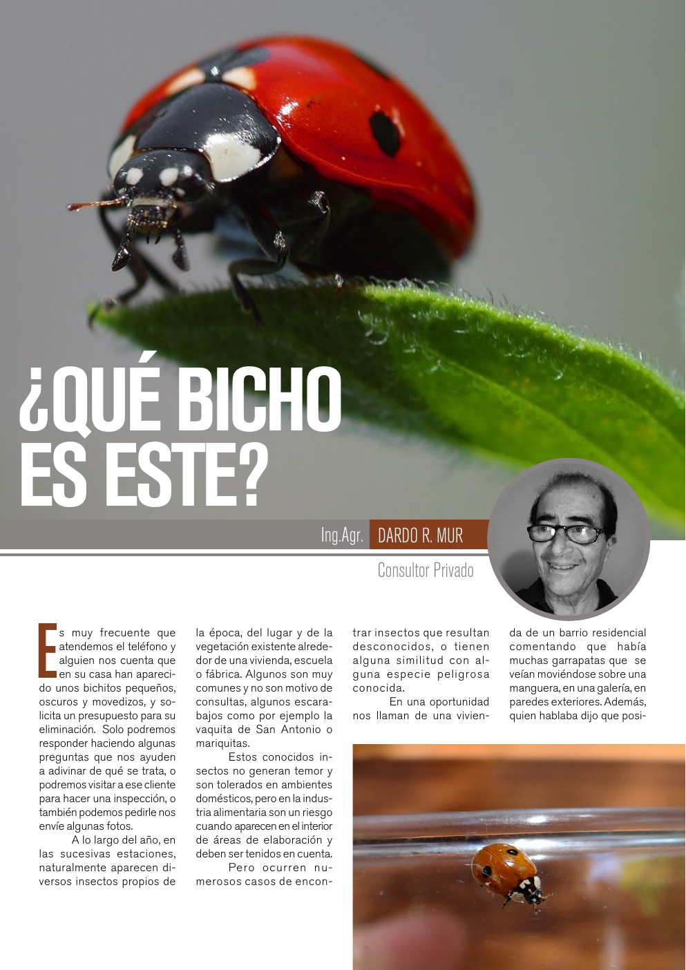 Apertura del artículo sobre identificación de plagas